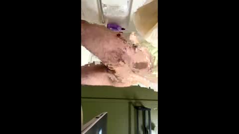 1000gum online show from January 11, 8:21 am