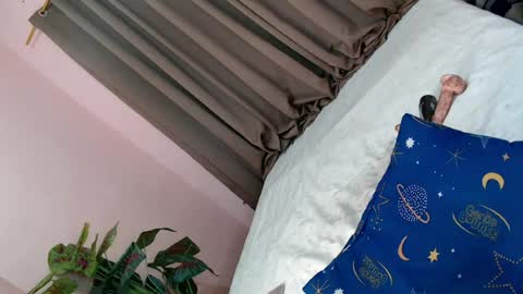 LEXY online show from June 8, 1:39 am
