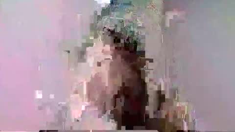 Anne online show from November 14, 9:06 am