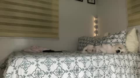 Sweet Aya online show from July 16, 4:02 pm
