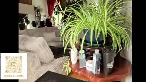 Bianca Transgirl online show from July 26, 10:44 am