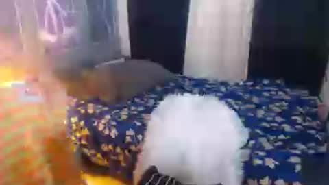 EVA online show from July 13, 11:46 am