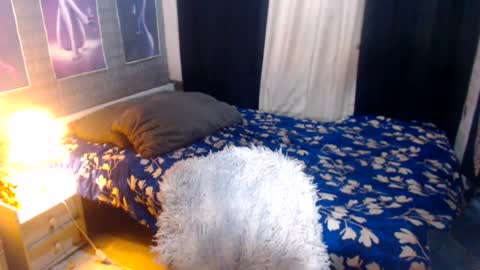 EVA online show from July 22, 10:52 am