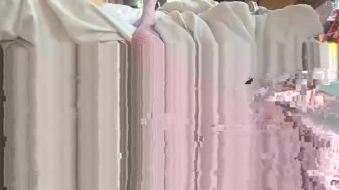 silky sissy sarah online show from April 18, 7:51 pm