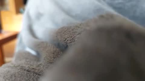 brianriver online show from March 10, 2:42 pm