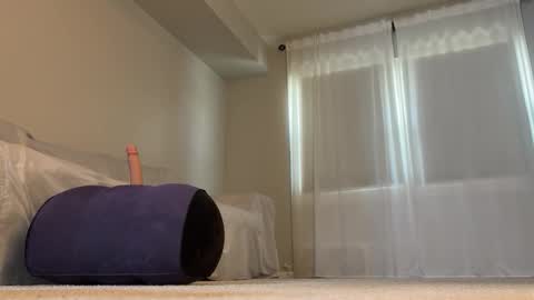 cd_pr1nc3ss online show from April 4, 6:17 pm