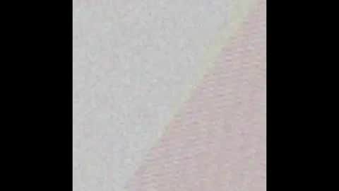 Chanel Jordan online show from January 9, 11:04 am