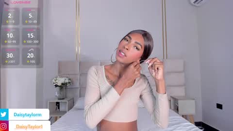 Daisy online show from November 17, 12:27 pm