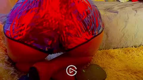 dandeb online show from January 26, 8:45 pm