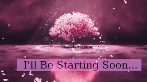 Daphne Sophia Vega online show from April 27, 8:34 am