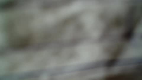 eddfox001 online show from June 14, 4:46 am