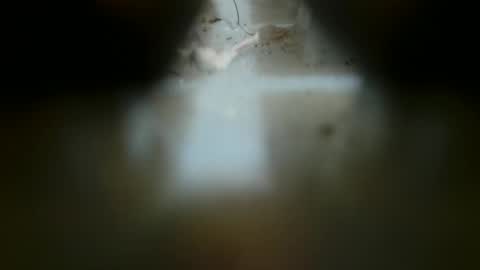 feminine_tsx online show from December 1, 12:51 pm