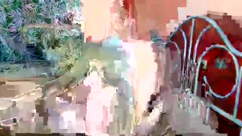 feminine_tsx online show from March 29, 12:38 pm