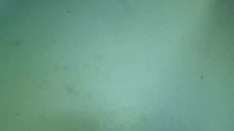 flooreenceee online show from July 25, 7:39 am