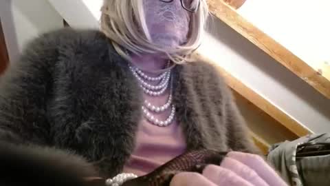 Dany online show from December 22, 8:14 pm