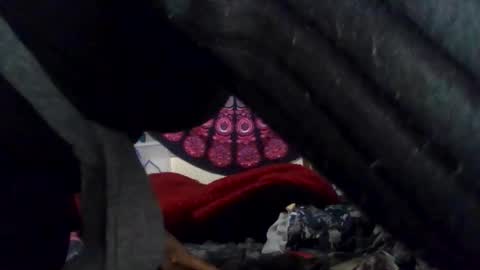 Gardenia online show from February 18, 8:44 am