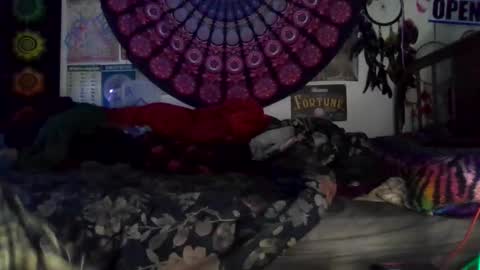 Gardenia online show from March 5, 10:20 am