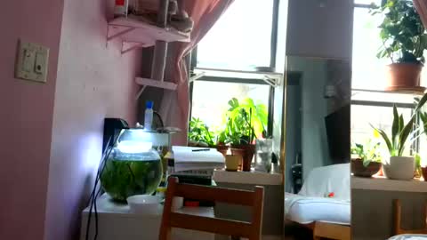 Goodess Jojo online show from April 14, 7:19 pm