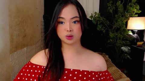 haily online show from November 26, 11:51 pm