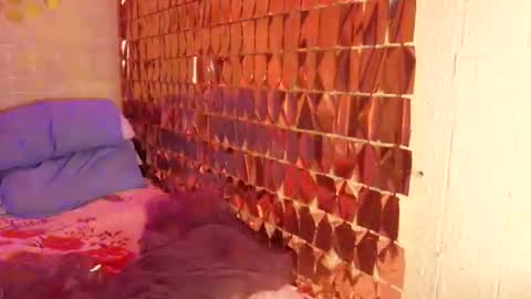 Cally online show from February 14, 9:38 am