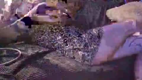 jocelynnuttz online show from November 21, 9:10 am