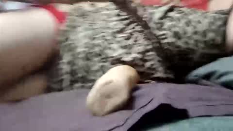 jocelynnuttz online show from December 22, 3:17 pm