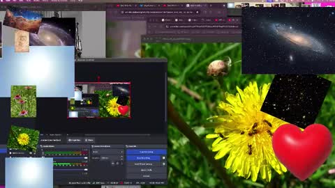 JP Sunflower Angel Love online show from October 13, 9:10 am