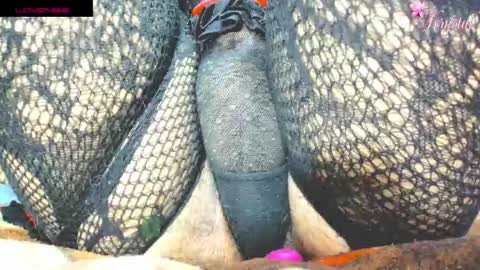 kryxtal online show from September 25, 7:43 pm