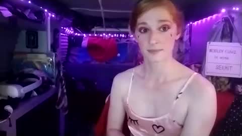 LesleyGumGrass- The Boring Trans girl online show from February 15, 3:09 am