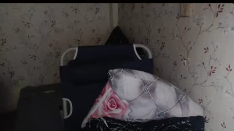 Hev Lexi online show from July 3, 1:28 pm
