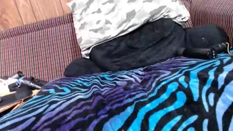 Snapshot of lyke2fuck chatting on February 6, 11:32 am Lyke2fuck online show from February 6, 11:32 am