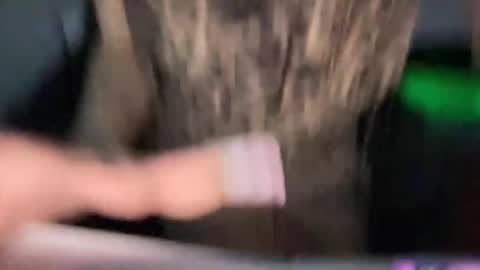 MOLLY MILLS online show from November 8, 3:51 am