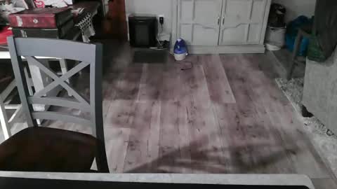 GlamTransGoddess online show from February 26, 12:27 am