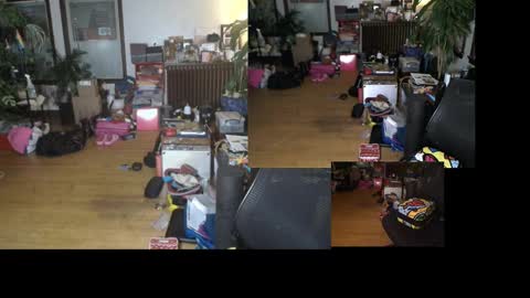 Snapshot of mercurybeetle chatting on December 10, 11:22 am Tsukiko online show from December 10, 11:22 am