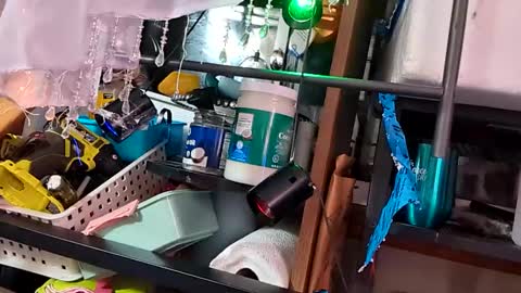 gurlnips online show from November 26, 6:27 am