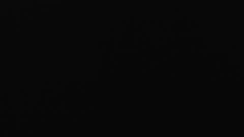 glorious Trans online show from June 24, 3:37 am