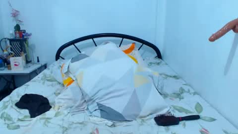 mrladybunnycock online show from June 13, 4:23 am