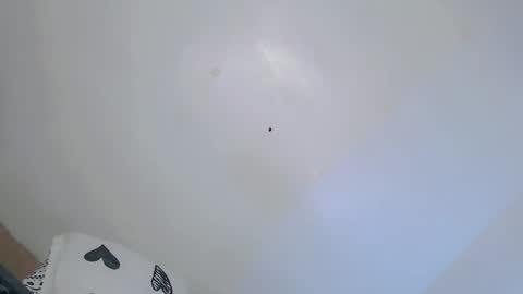 Channel online show from February 4, 11:20 pm