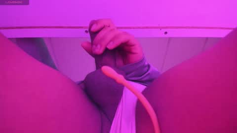 NOAH online show from December 21, 11:16 am