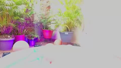 Paulina  online show from June 19, 7:40 pm