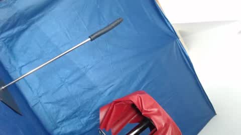 Rebeccalachaude online show from January 14, 5:40 am