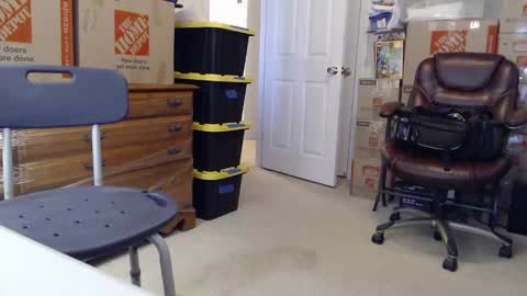 Sammy online show from November 12, 3:00 pm