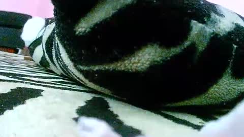 Snapshot of sensualnatasha chatting on February 27, 8:09 pm sensualnatasha online show from February 27, 8:09 pm
