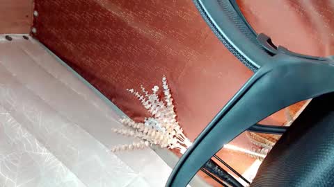 RC online show from January 5, 6:56 pm