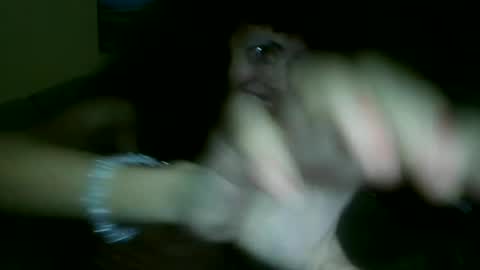 sexywolfnight online show from August 2, 6:13 am