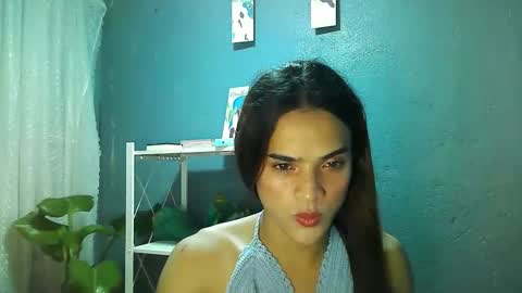 shaharra online show from November 26, 10:39 am