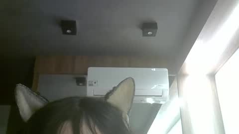skinnykittencam online show from June 5, 3:51 pm