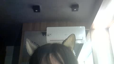 skinnykittencam online show from June 6, 4:03 pm