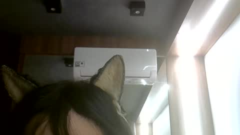 skinnykittencam online show from June 7, 5:43 pm