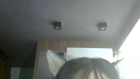 skinnykittencam online show from June 11, 12:54 am